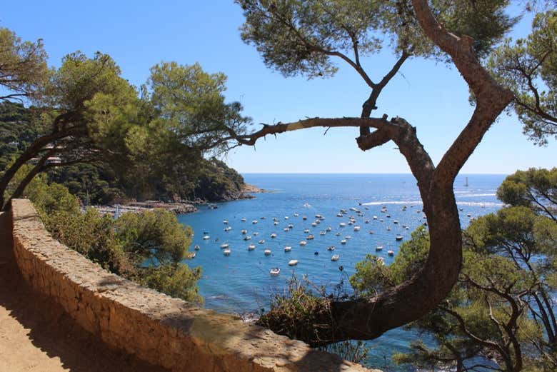 Vistas del Camino de Ronda