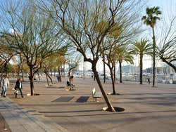 La Barceloneta, Paseo de Juan de Borbón