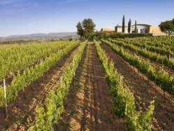 Bodegas Jean Leon