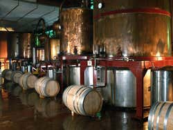 Bodegas Torres