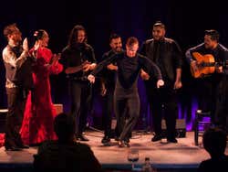 Flamenco en Casa Camarón