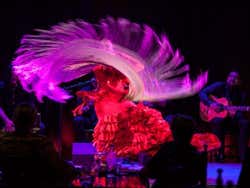 Flamenco en Casa Camarón