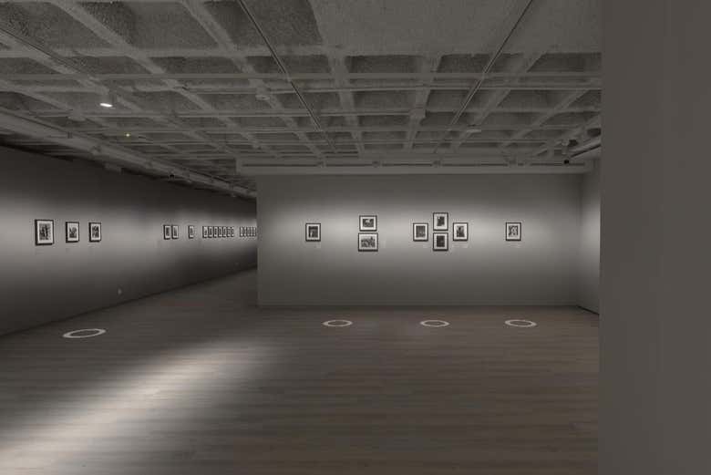 La sala de exposiciones