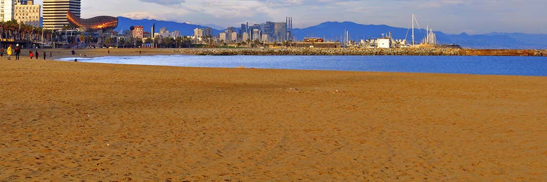 Playa de la Barceloneta